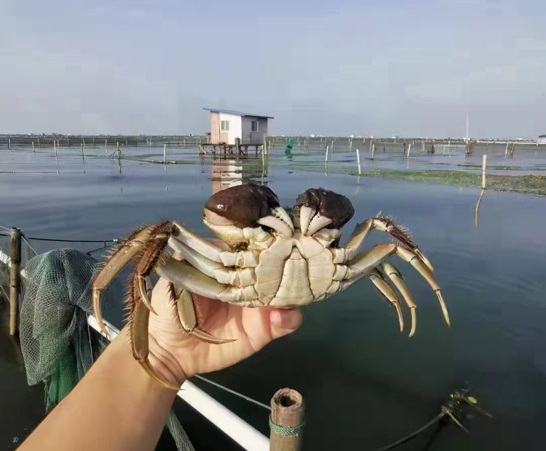 養(yǎng)殖基地